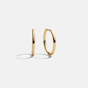 Verbena 18K Gold Earrings - 15MM